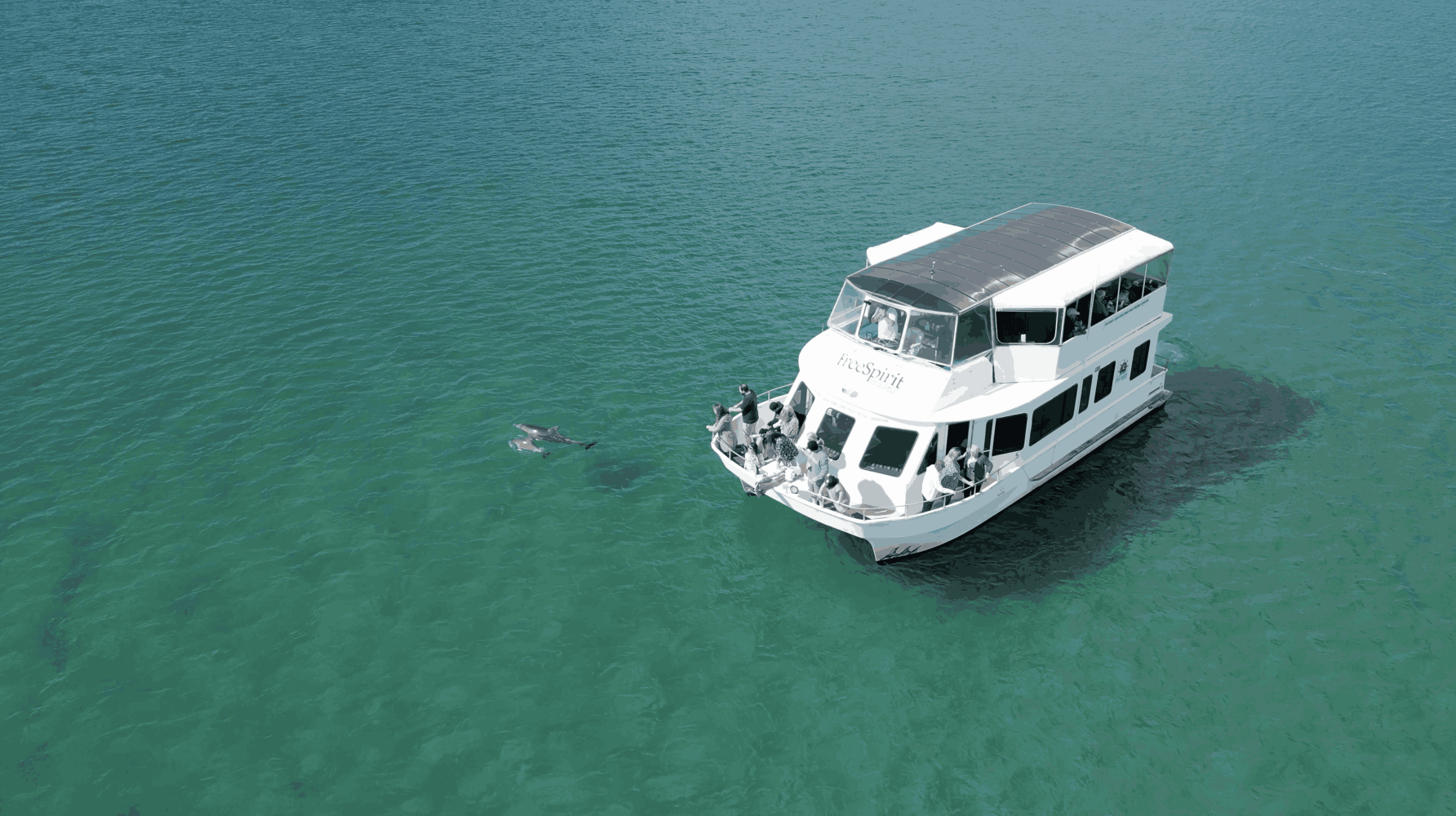 Let Free Spirit Cruises guide you on an unforgettable journey into the heart of Forster’s marine paradise